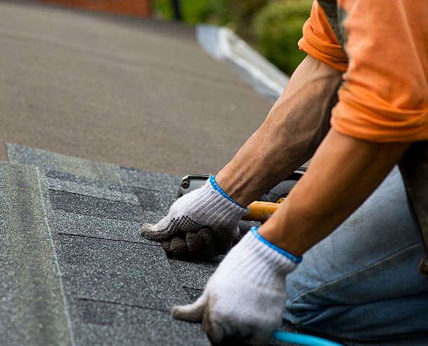 Best Roof Repair Services  in Radford, VA